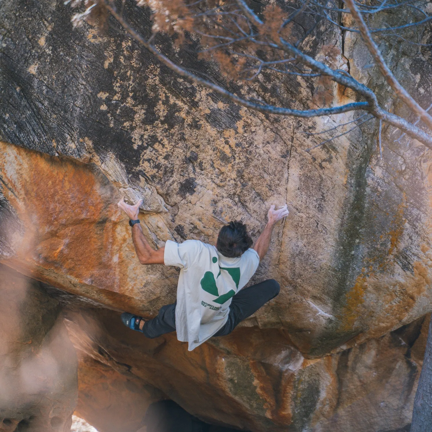 Nature Climbing Horizon t-shirt canary green økologisk bomuld