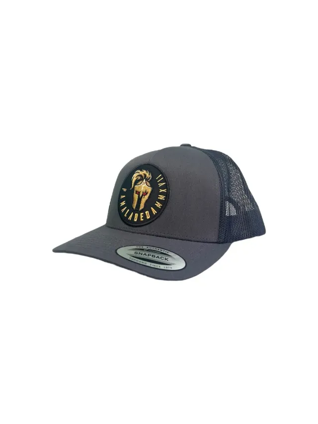 Labeda Knights truckerkasket grå 5-panel buet skygge