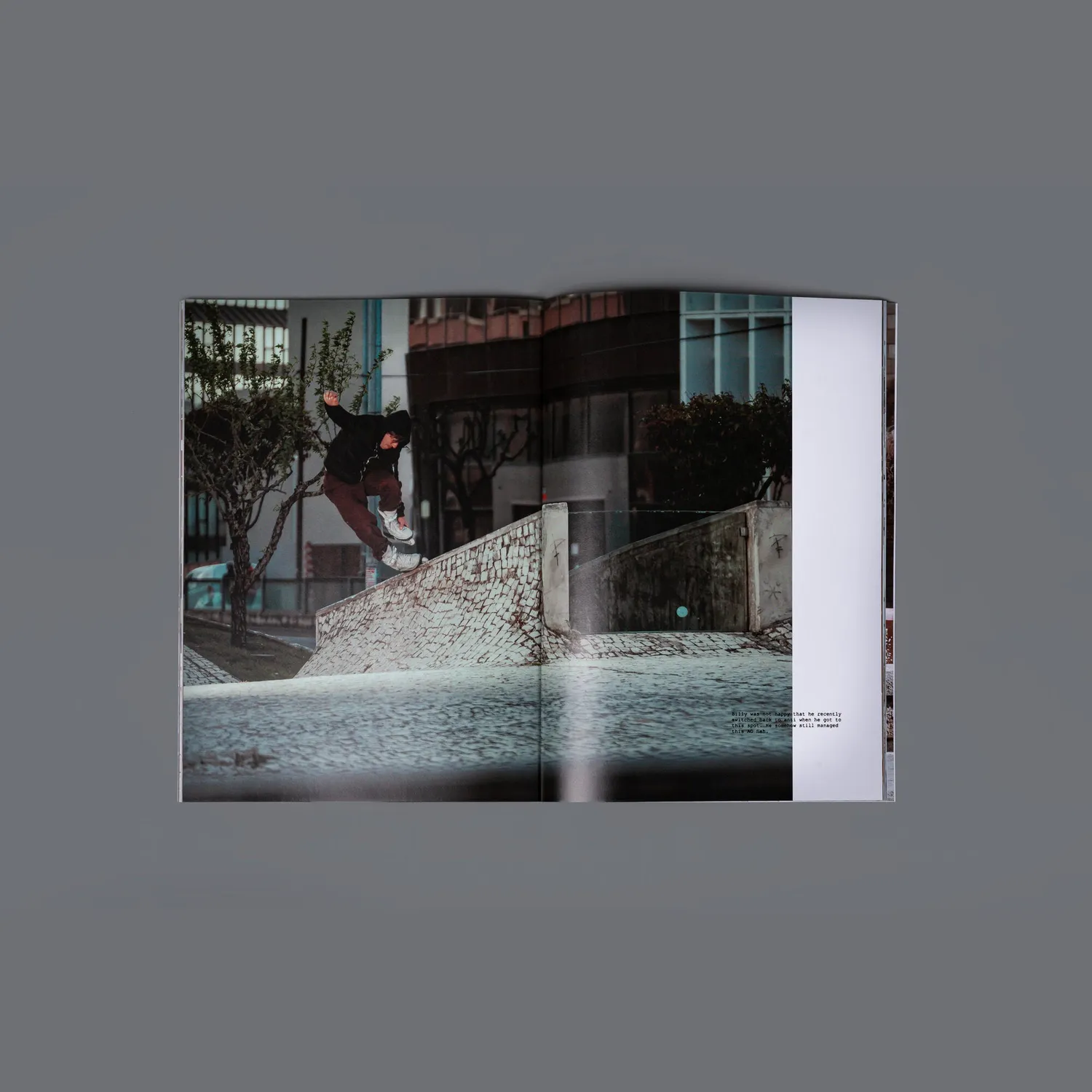 Mesmer Book Portugal Fotobog farve