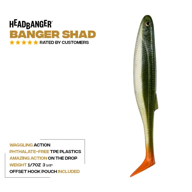 Headbanger BangerShad gummiagn 3-1/2" 5-pak Pearl White