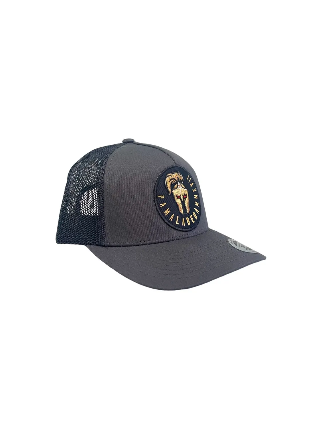 Labeda Knights truckerkasket grå 5-panel buet skygge