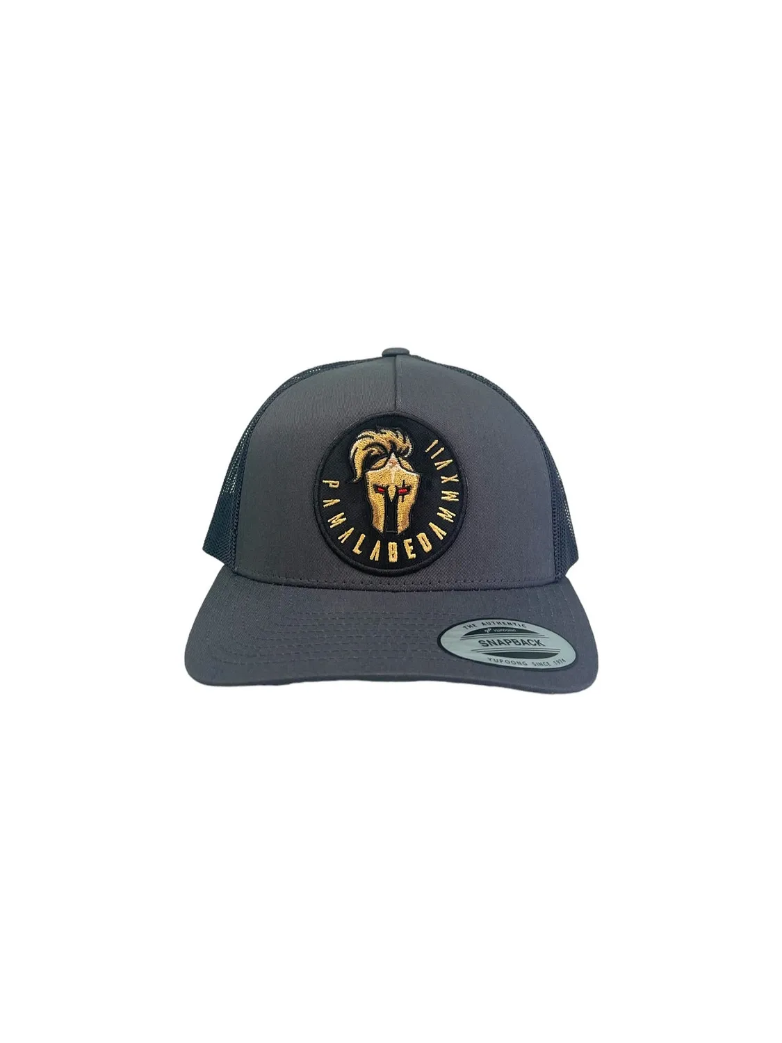 Labeda Knights Curve Bill 5 Panel Retro Trucker kasket grå