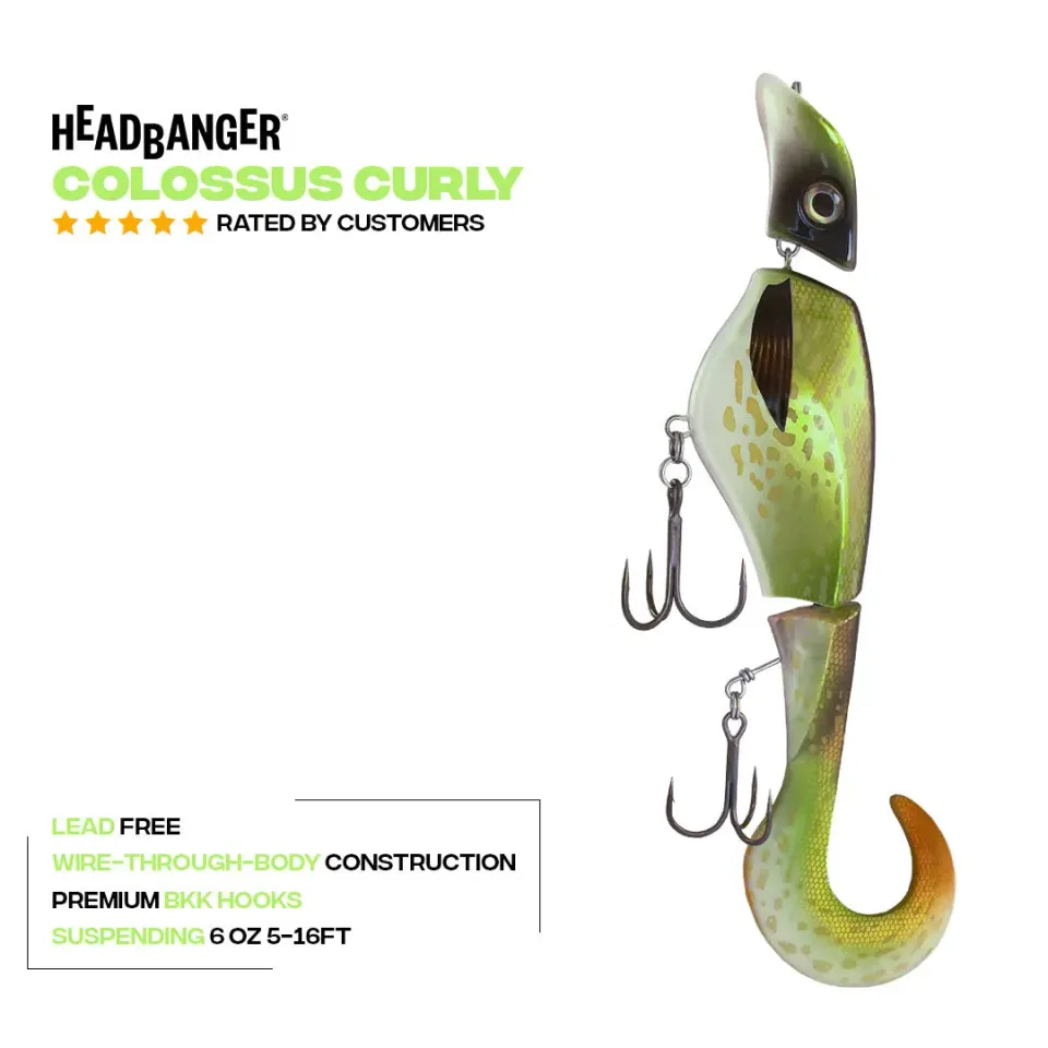 Headbanger Colossus Curly geddeagn 12" Northern Pike